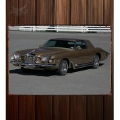 Металлическая табличка Stutz Blackhawk